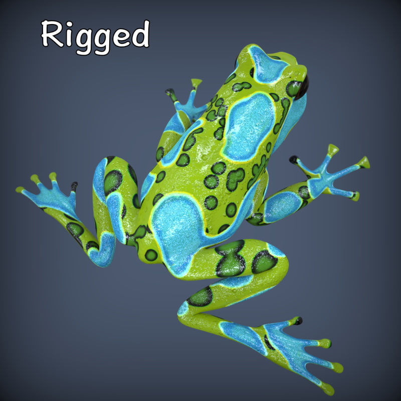 Frog 12